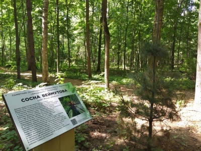 Парк Гайдар - 32.jpg